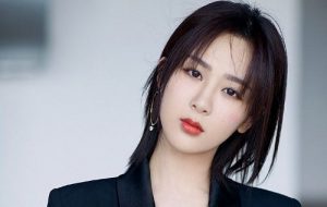 Tiểu sử diễn viên Dương Tử là ai, sự nghiệp và gia đình ?